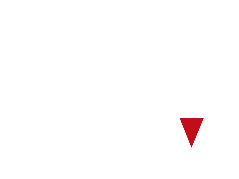 HPV VIstarini